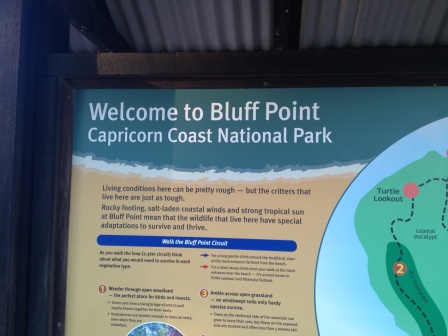 bluff_point_sign