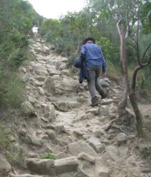 climbing_mt_coolum